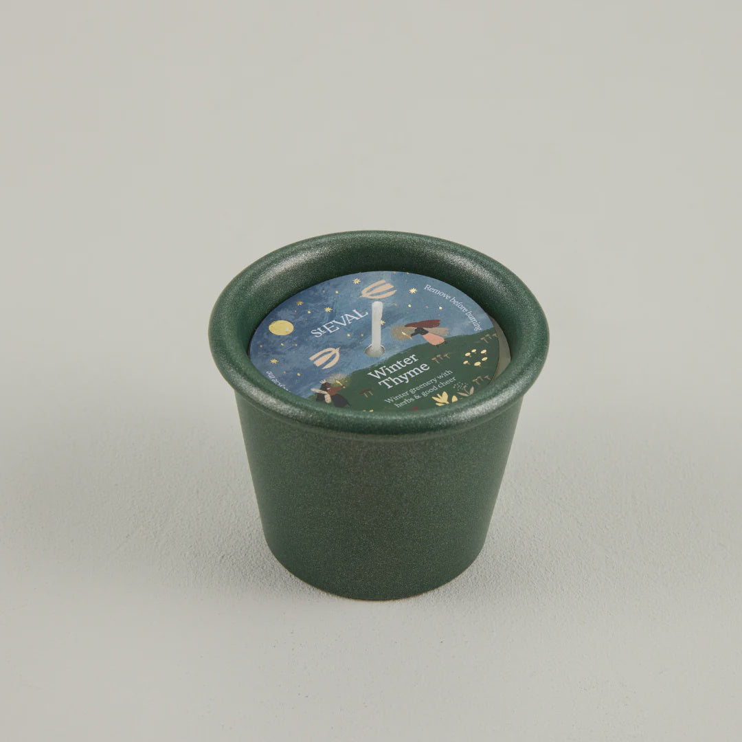 St Eval Stardust Green Pot Winter Thyme