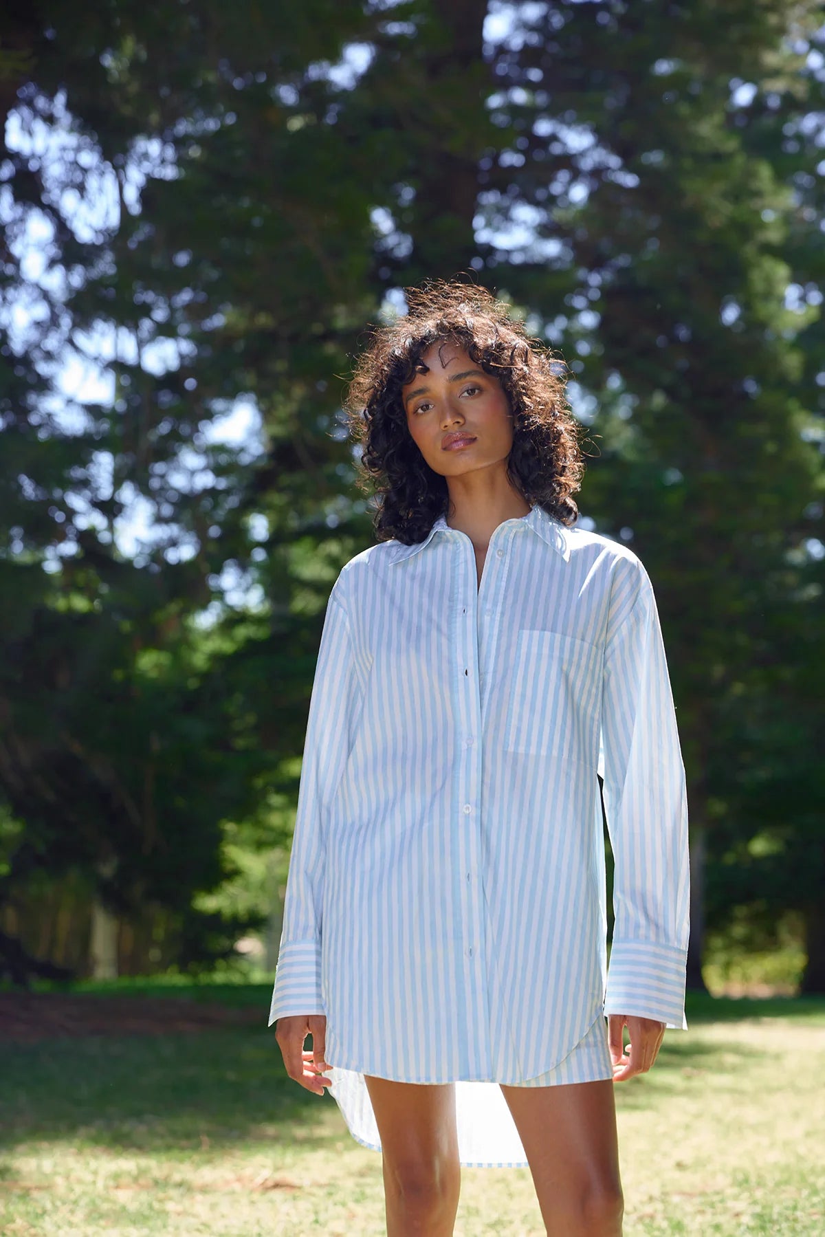Aston Buddy Shirt Arctic Stripe