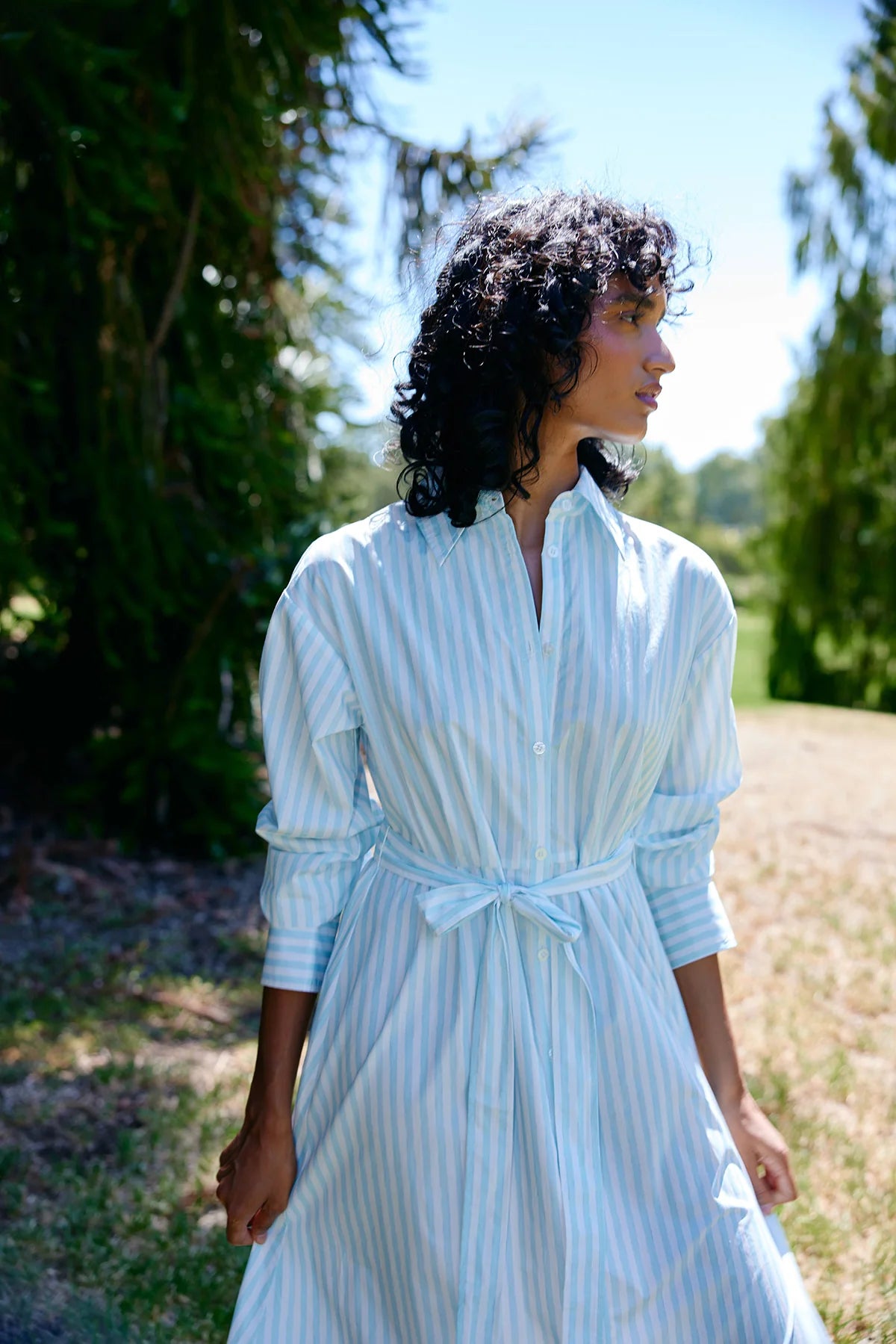 Aston Arlet Dress Artic Stripe