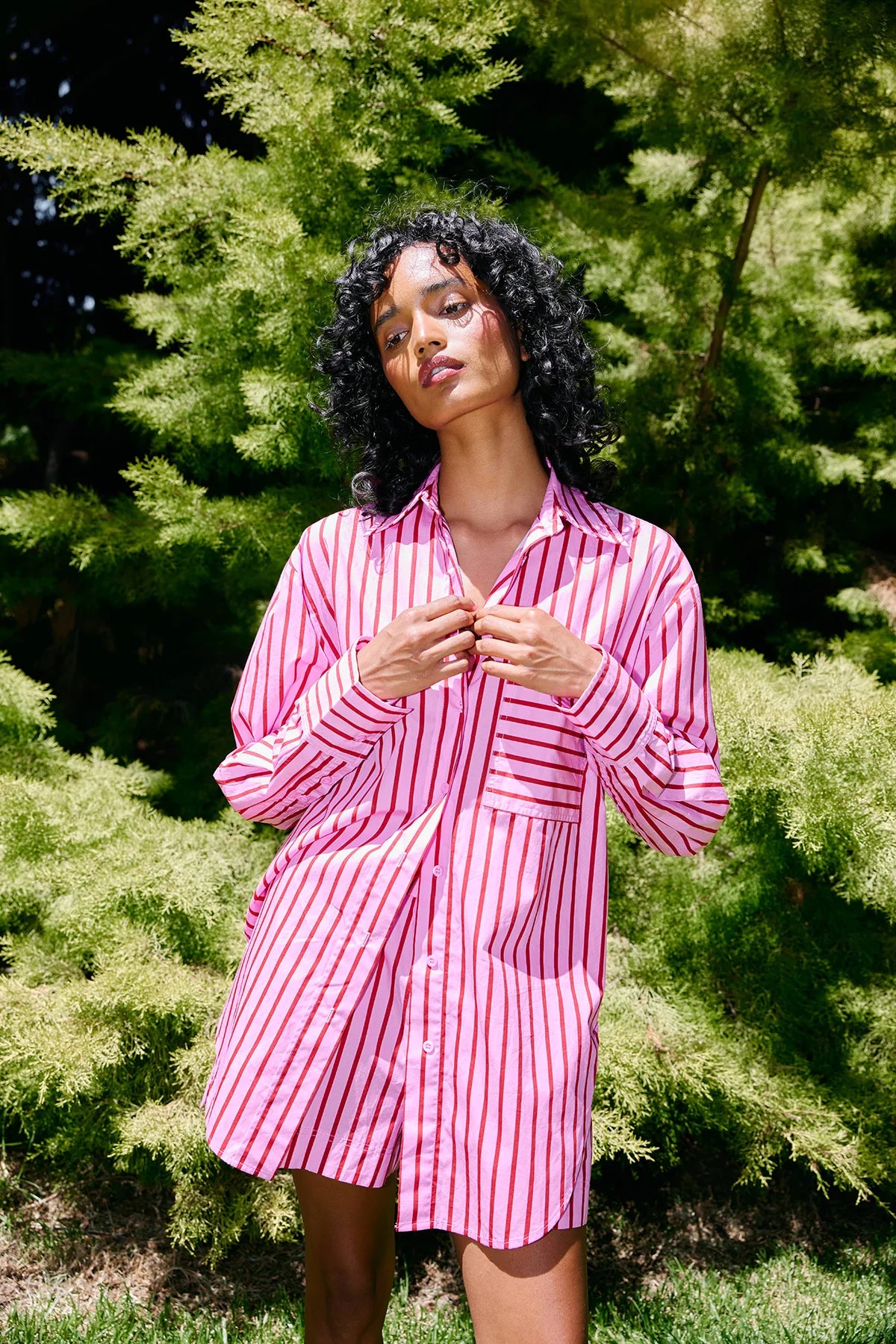 Aston Buddy Shirt Magenta Stripe