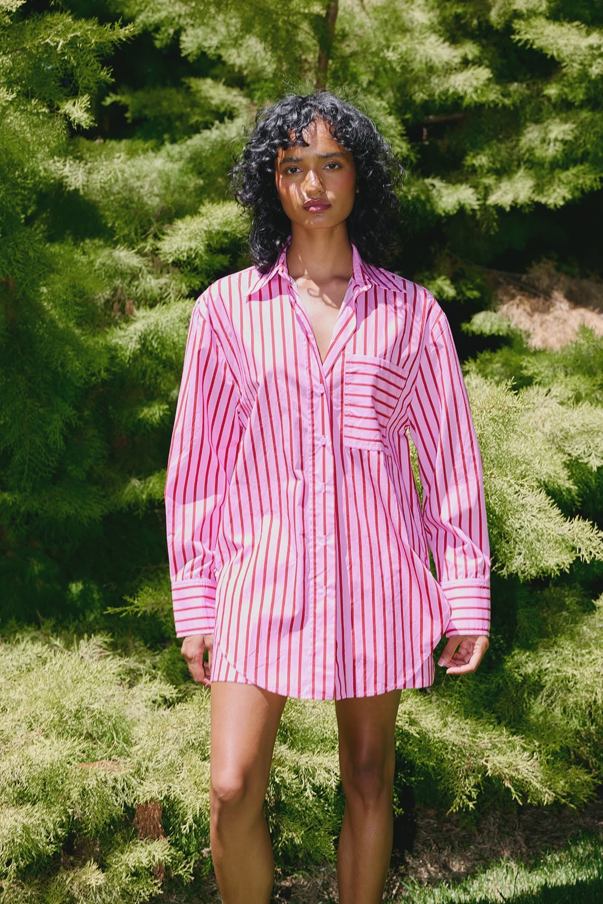 Aston Buddy Shirt Magenta Stripe