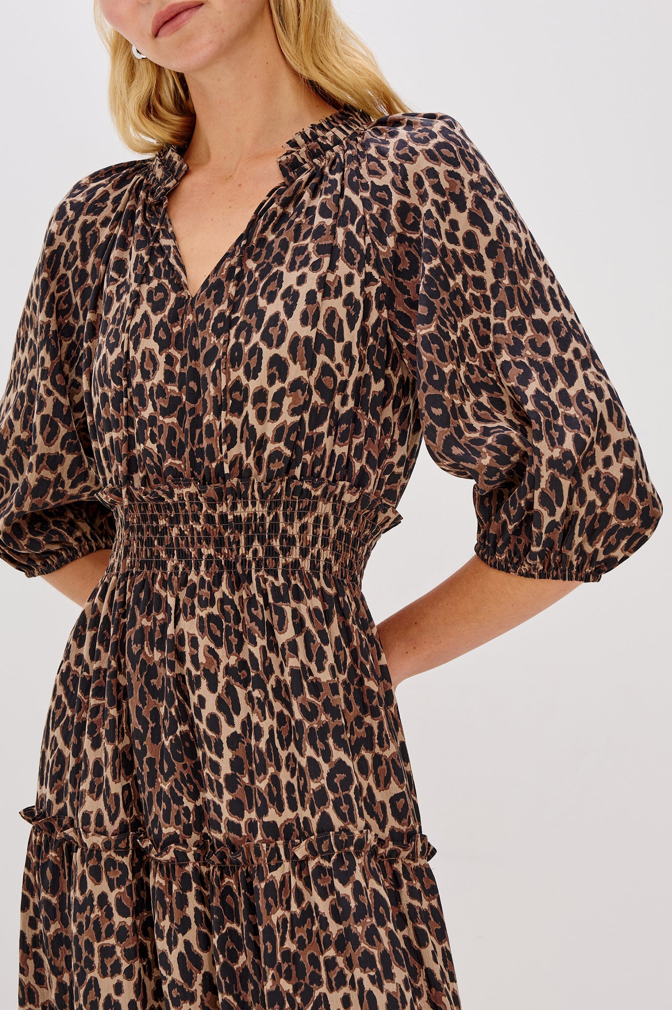 Rails Caterine Animal Print Dress