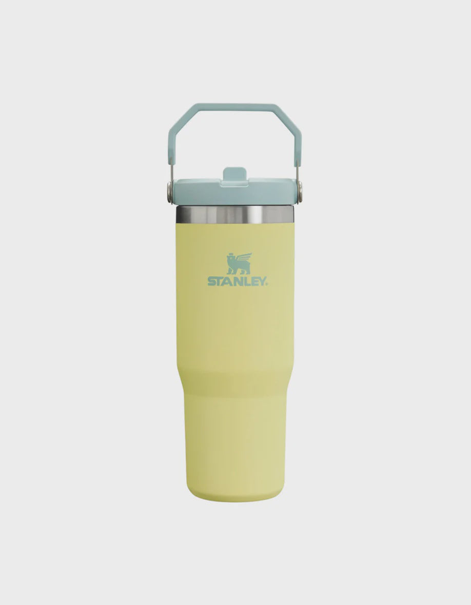 Stanley Iceflow Flip Straw Tumbler 30oz 887ml Pomelo