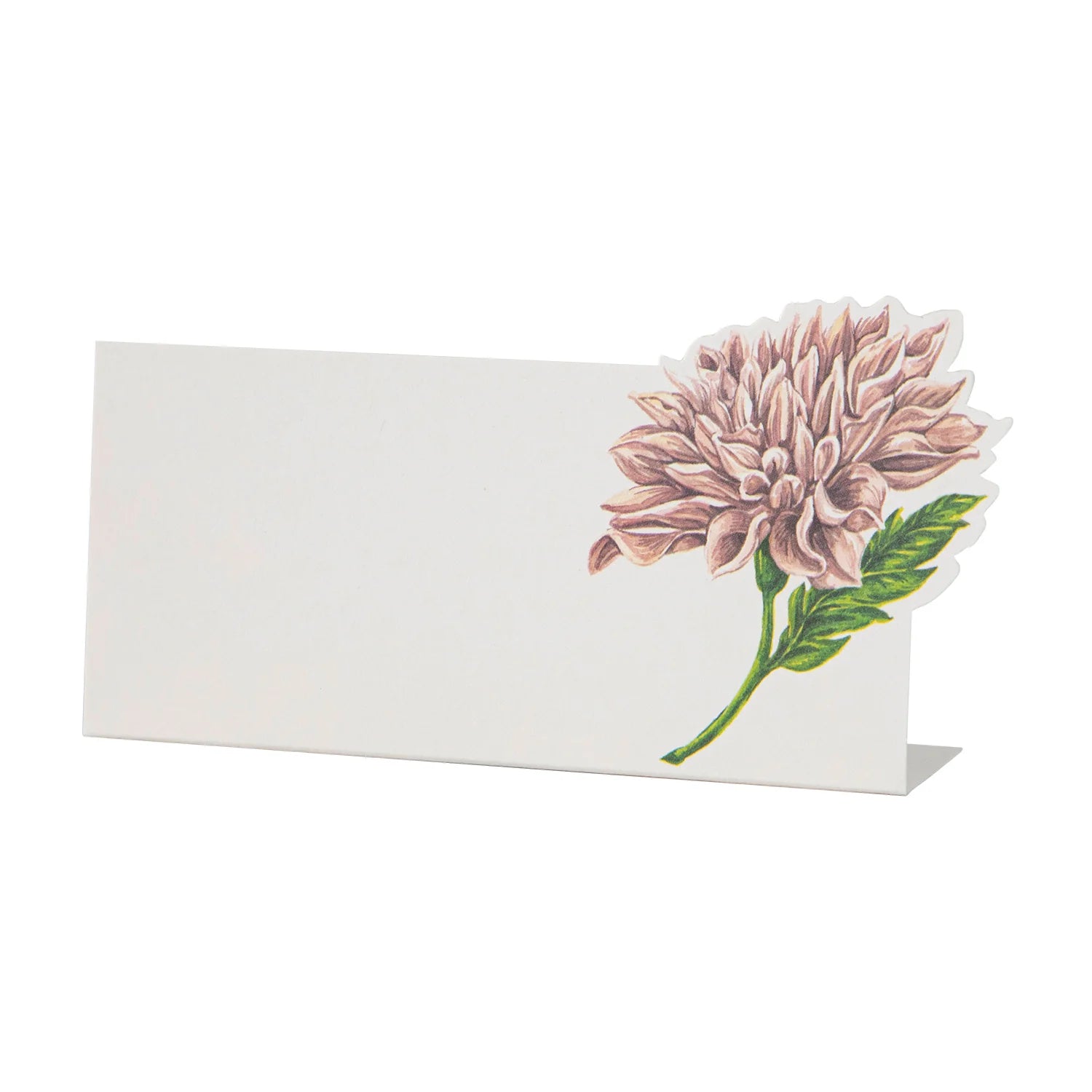 Hester & Cook Dahlia Place Card Pack of 12