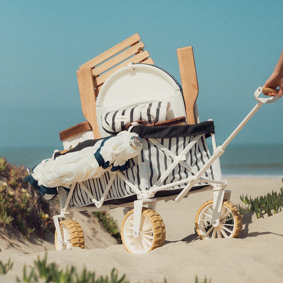 Business and Pleasure Beach Cart - Black Stripe