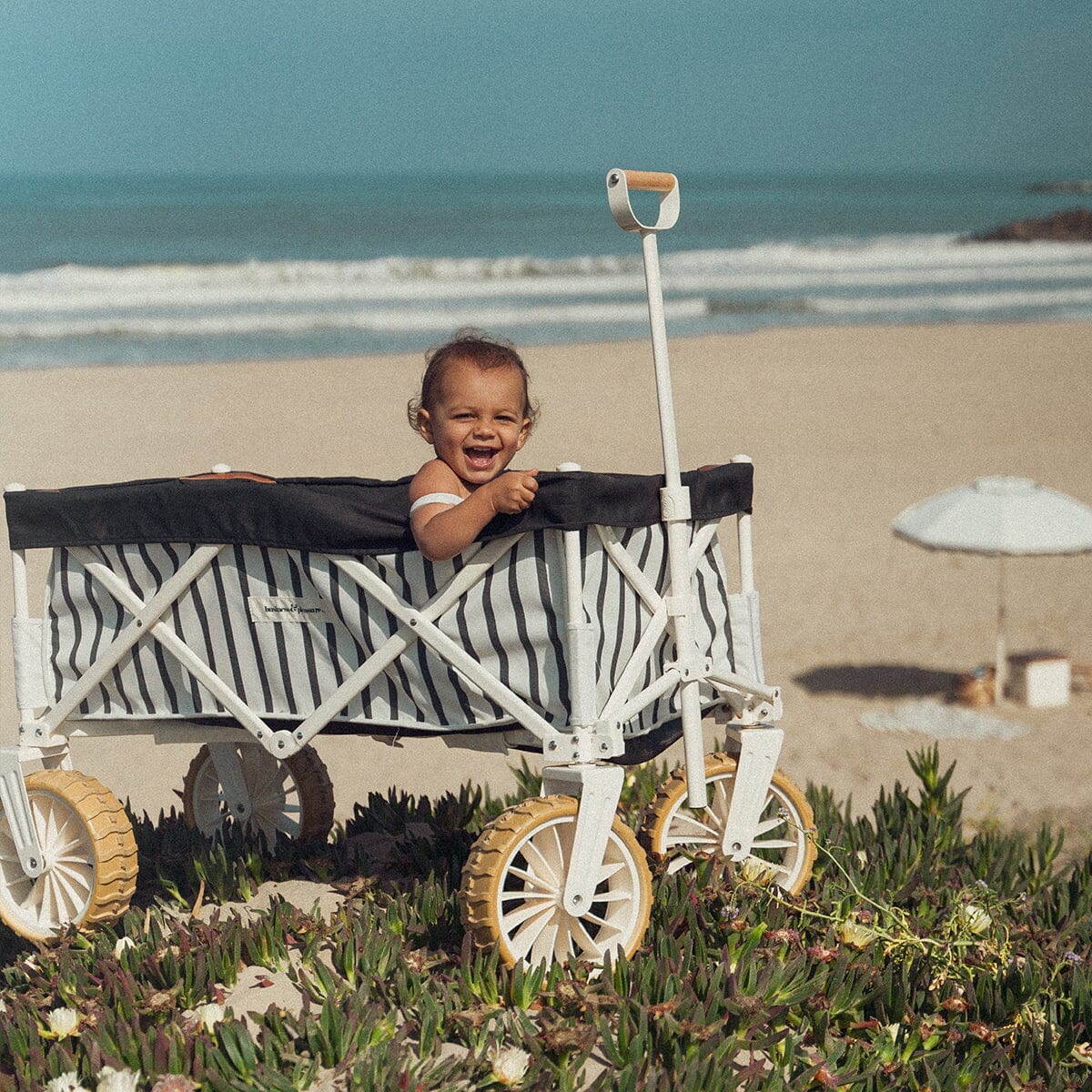 Business and Pleasure Beach Cart - Black Stripe