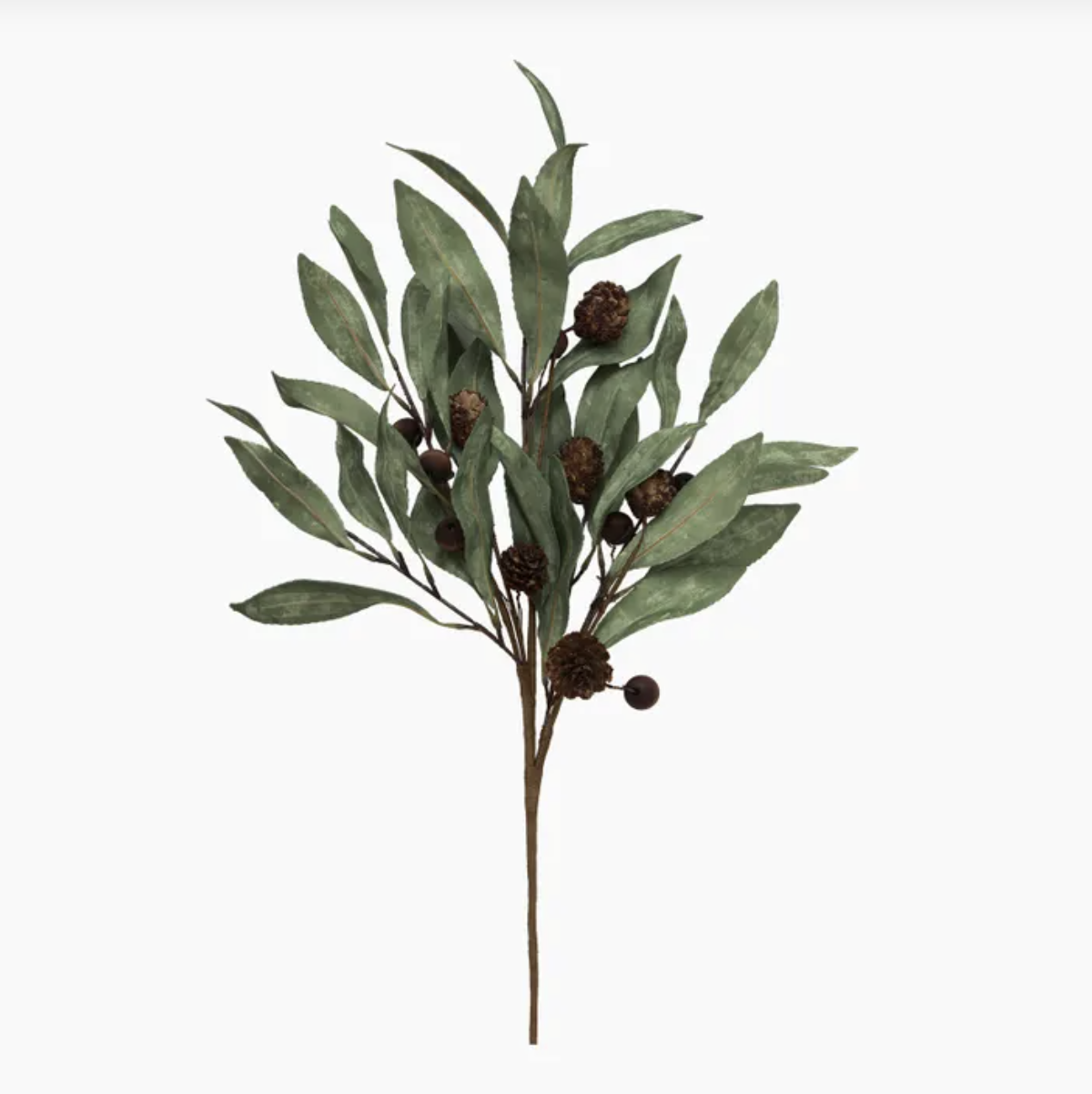 Eucalyptus & Brown Berry Wood Branch