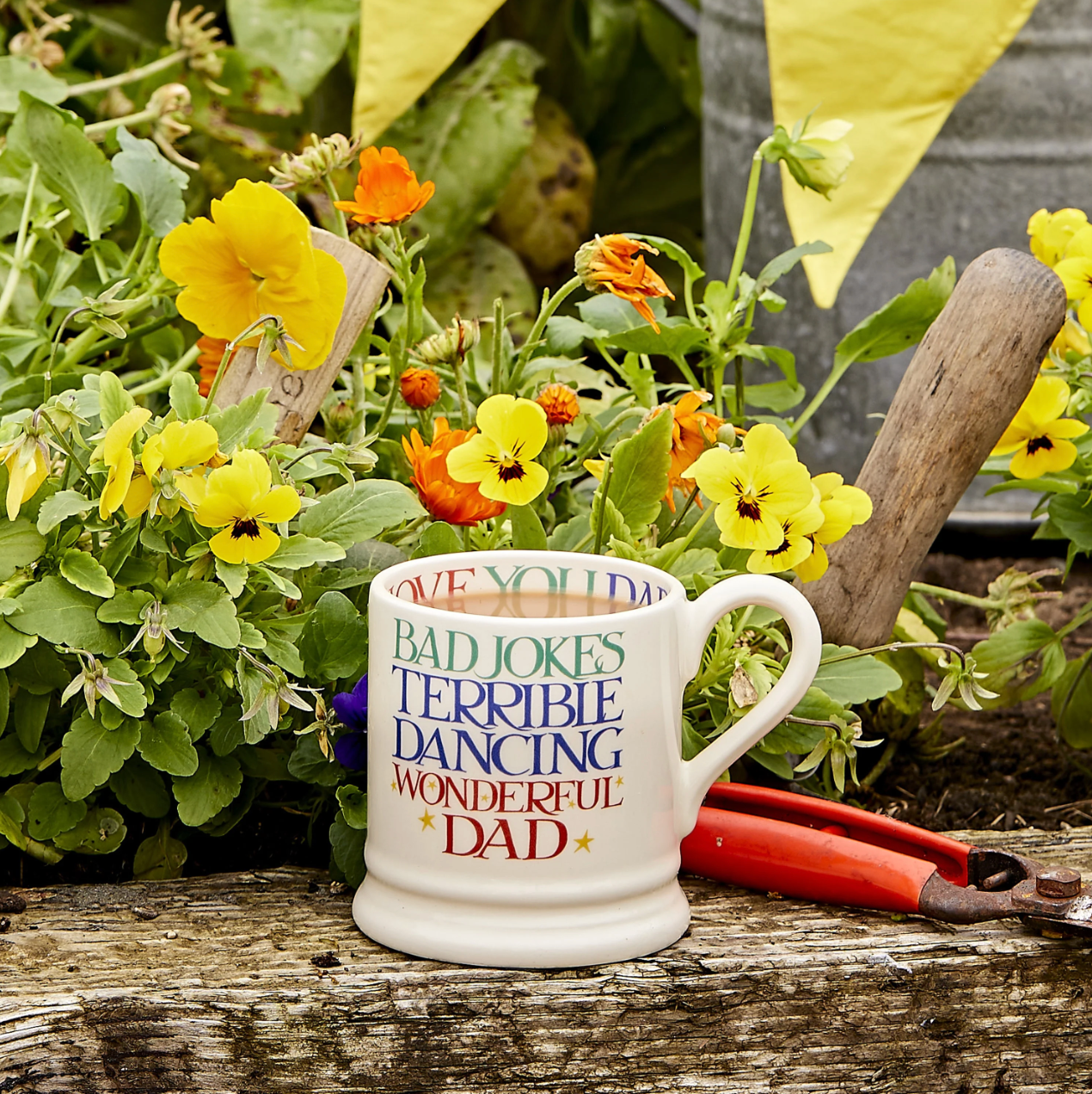 Emma Bridgewater Rainbow Toast Wonderful Dad 1/2 Pint Mug