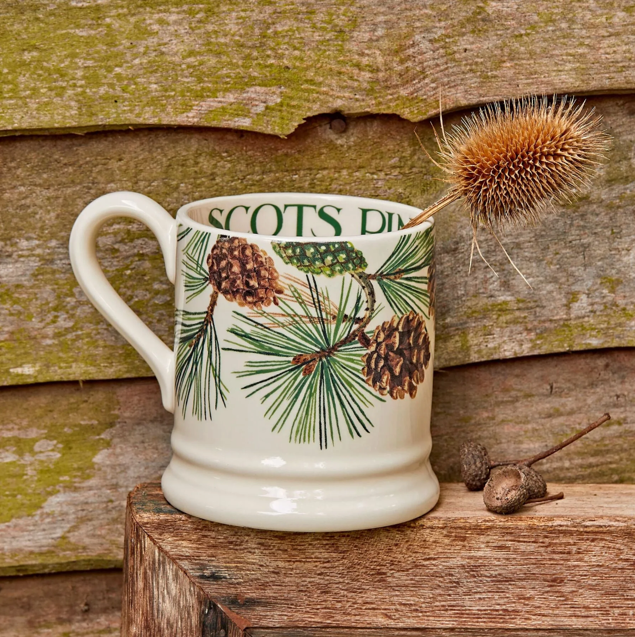 Emma Bridgewater Scots Pine 1/2 Pint Mug