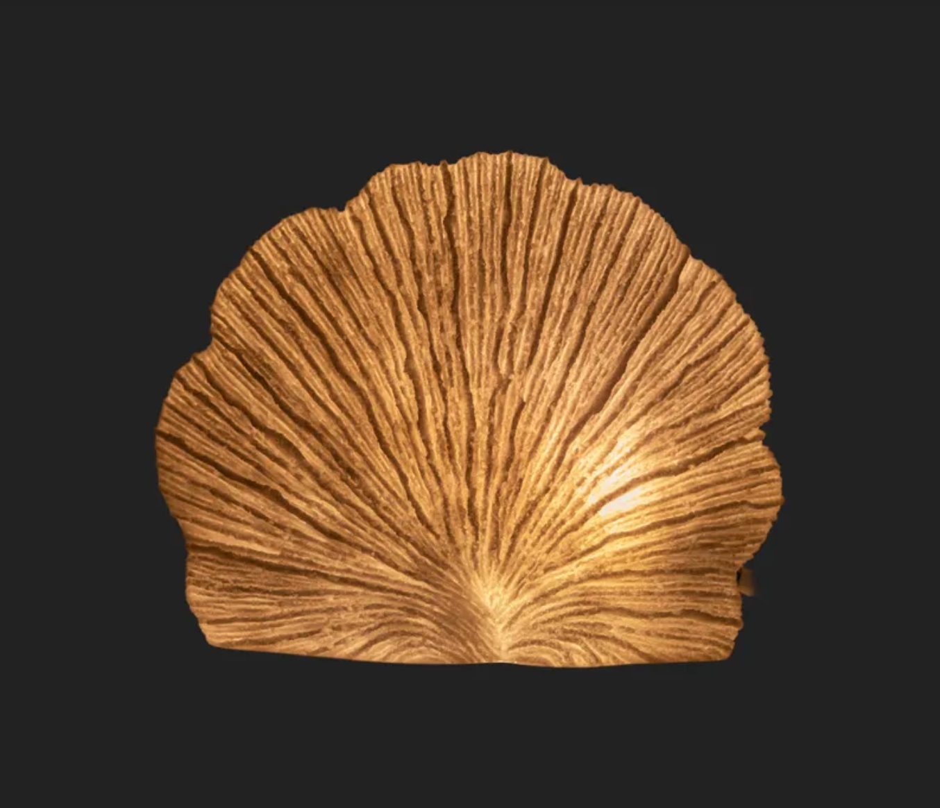 Light Up Coral