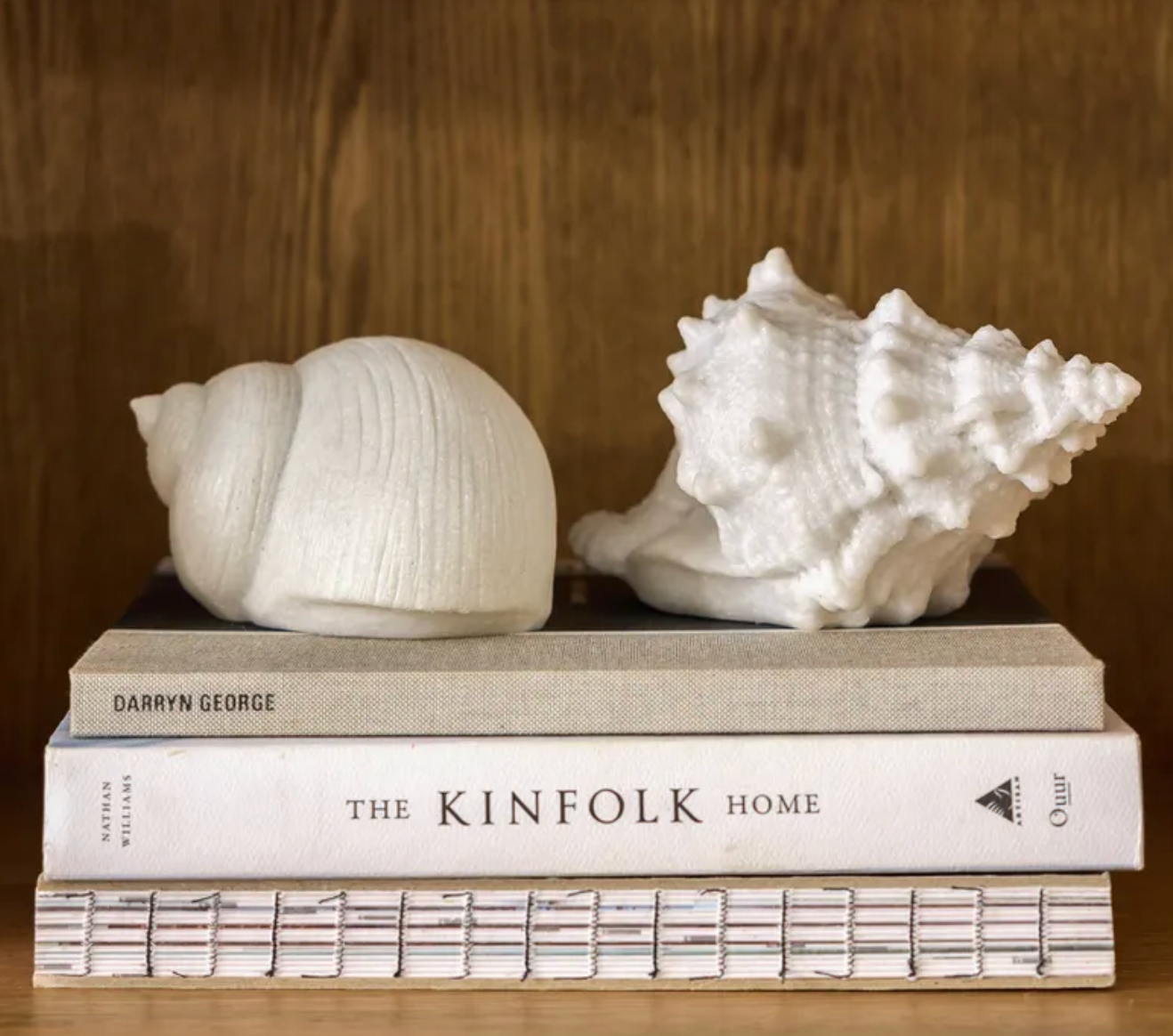 Light Up Conch Shell