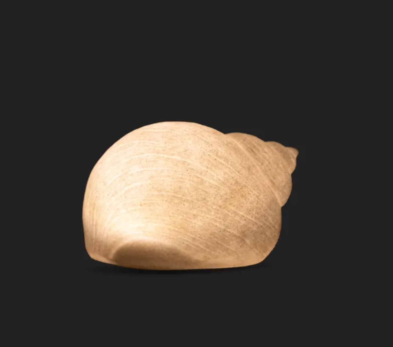 Light Up Snail Shell
