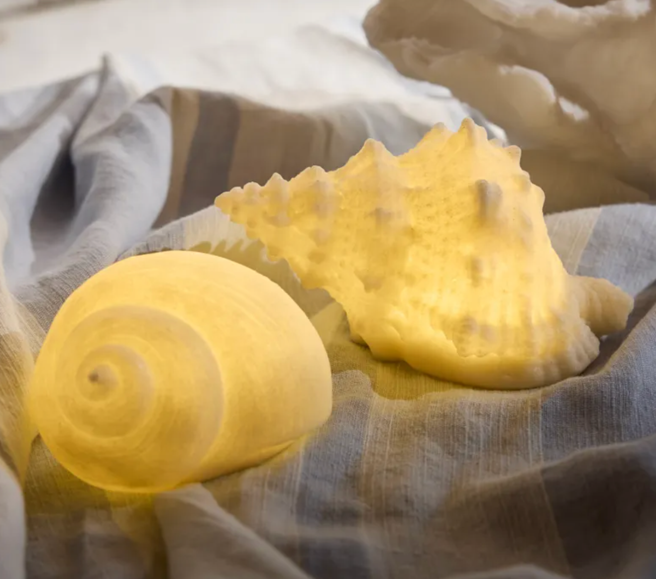 Light Up Snail Shell