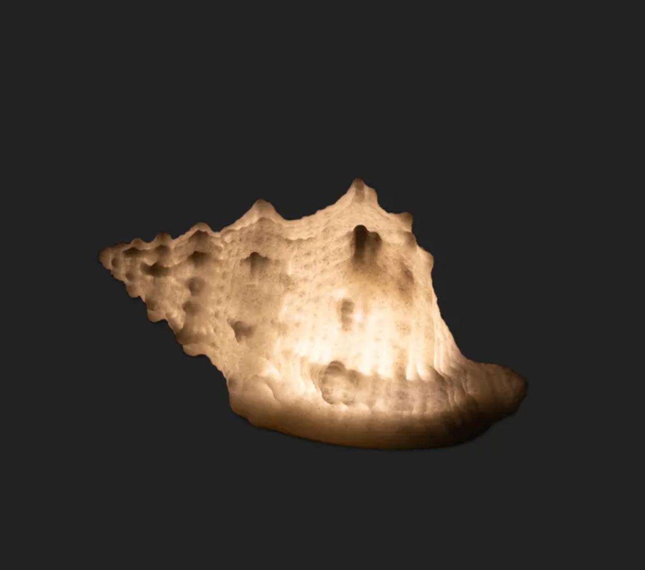 Light Up Conch Shell