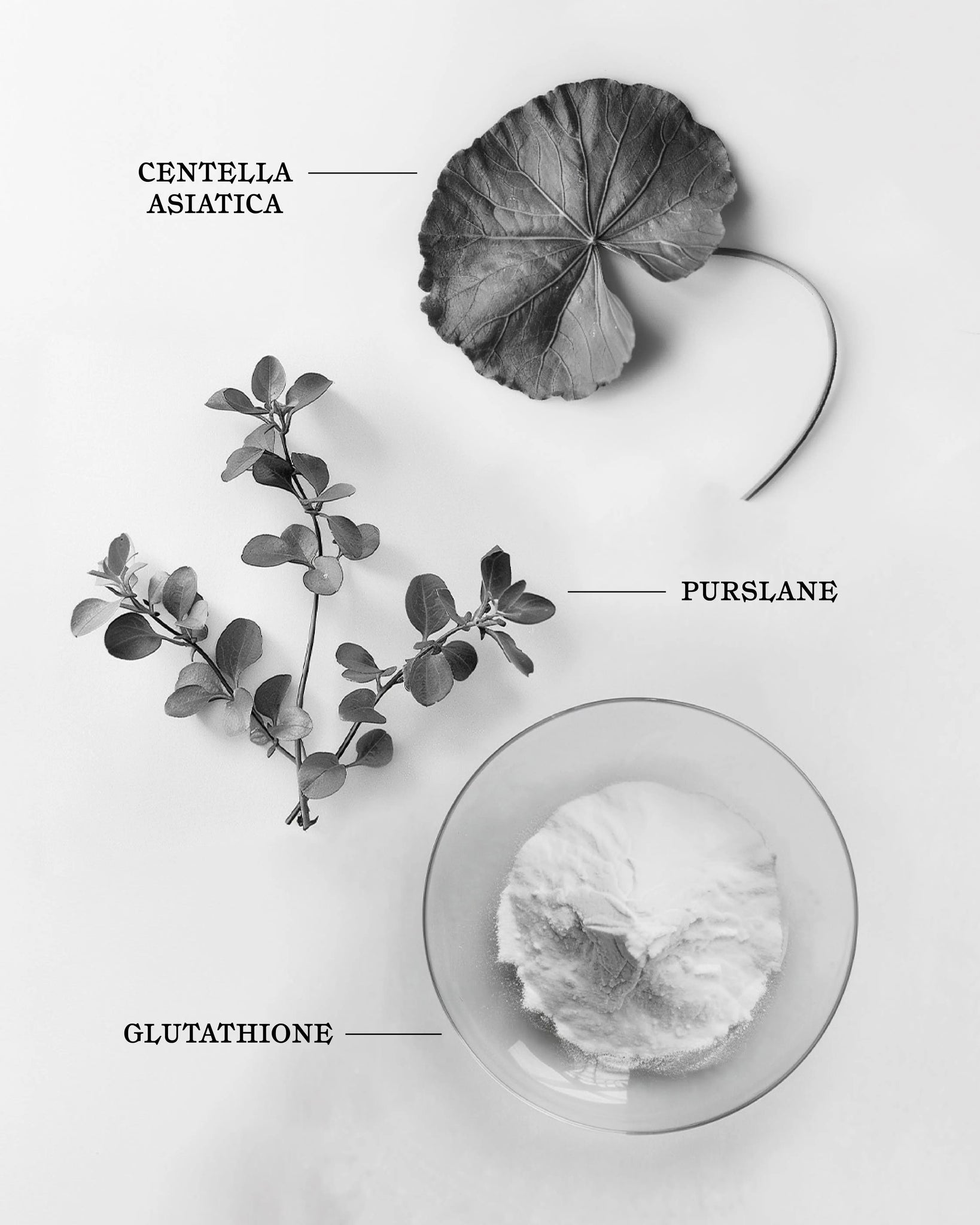 Glow Guard  Sunscreen SPF50+ by Melitta