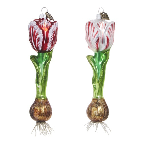 Tulip Bulb Red Ornament