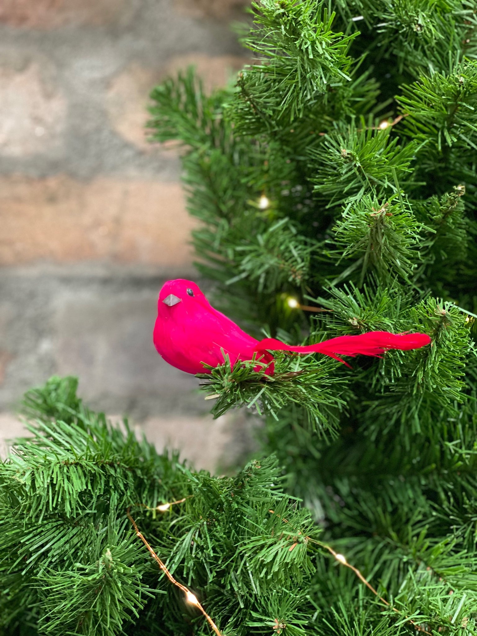 Christmas Decoration Curly Tail Bird Small