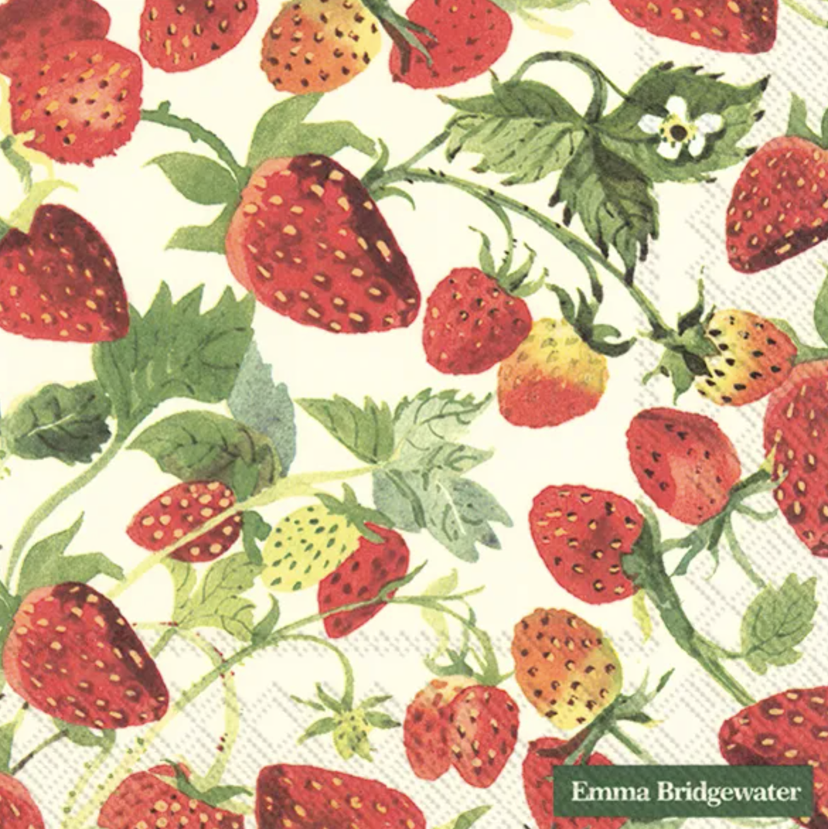 IHR Luncheon Emma Bridgewater Strawberries Cream